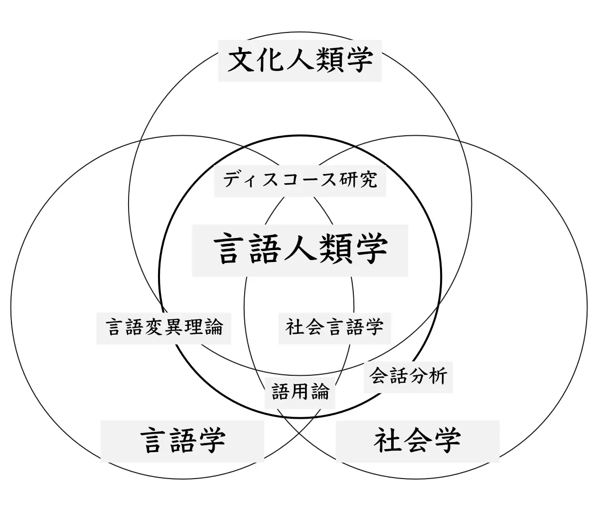 言語人類学と関連分野の位置づけ